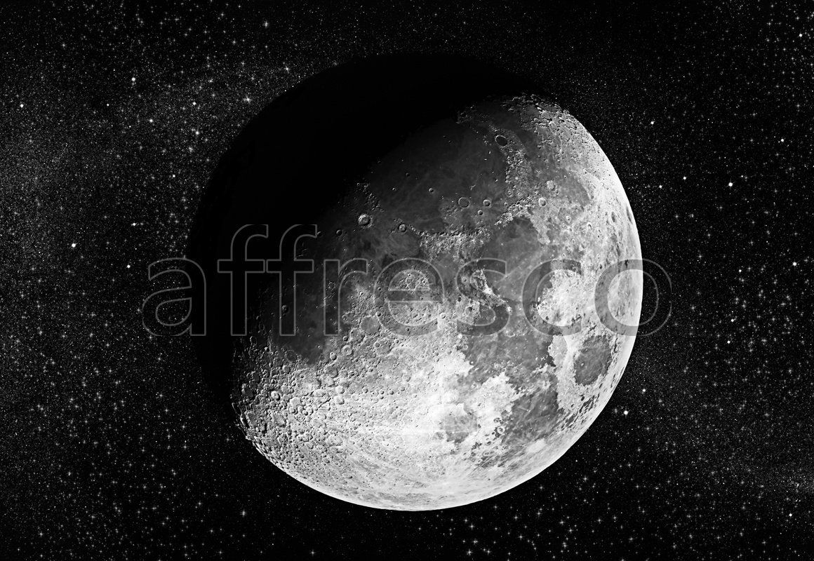 Фрески, Каталог Сюжеты, арт. 7165. Фактура: Beze