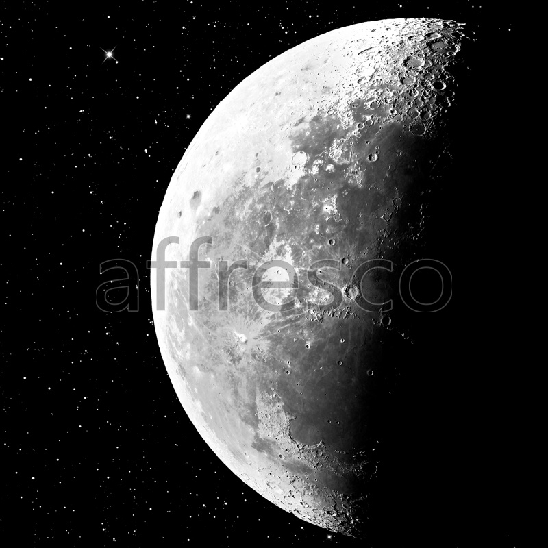 Фрески, Каталог Сюжеты, арт. 7169. Фактура: Beze