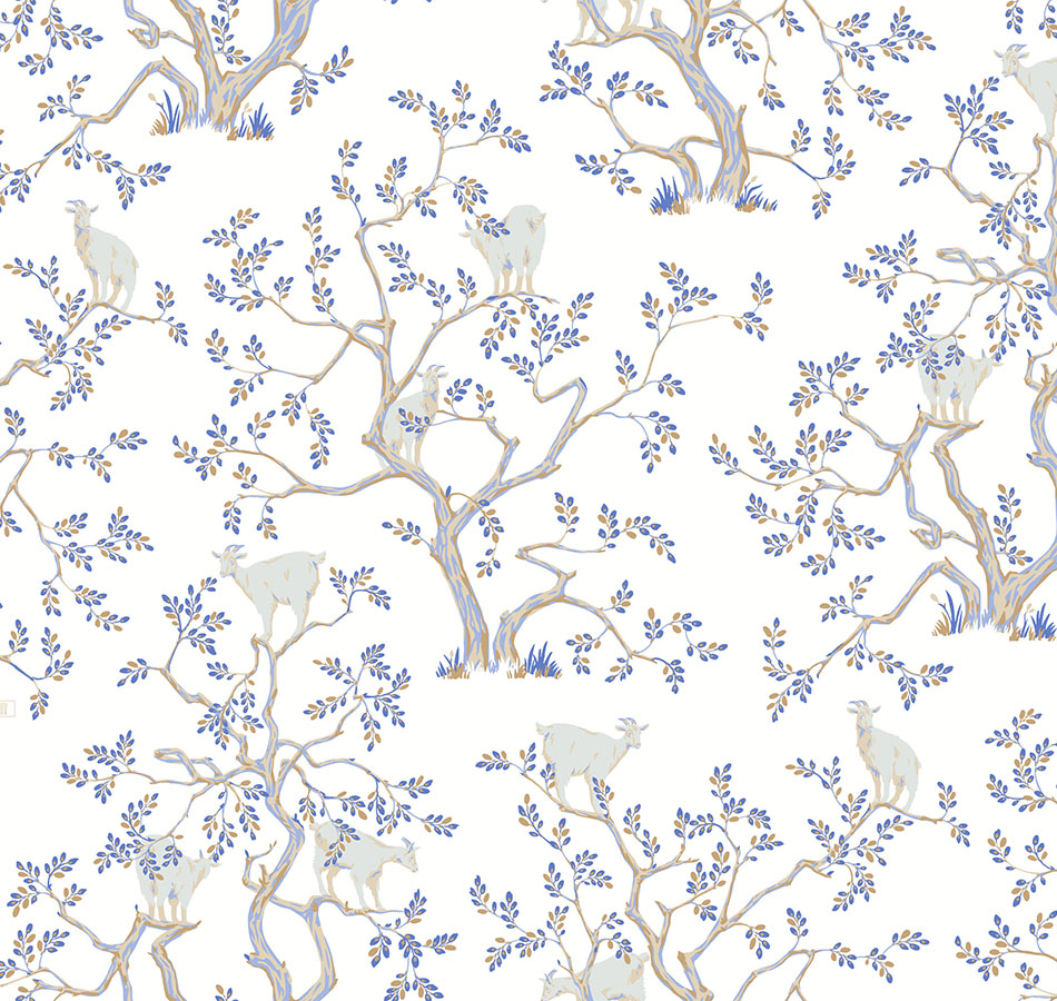 Argania Als5 001