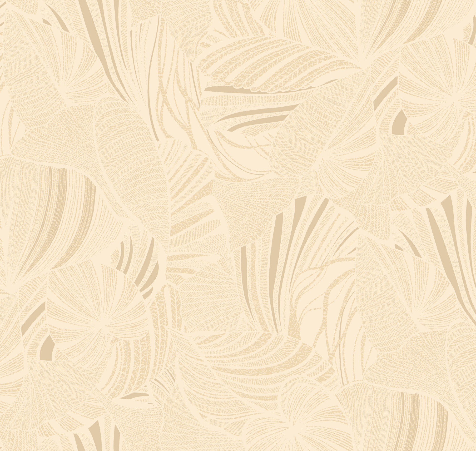 Monstera Ins5 002