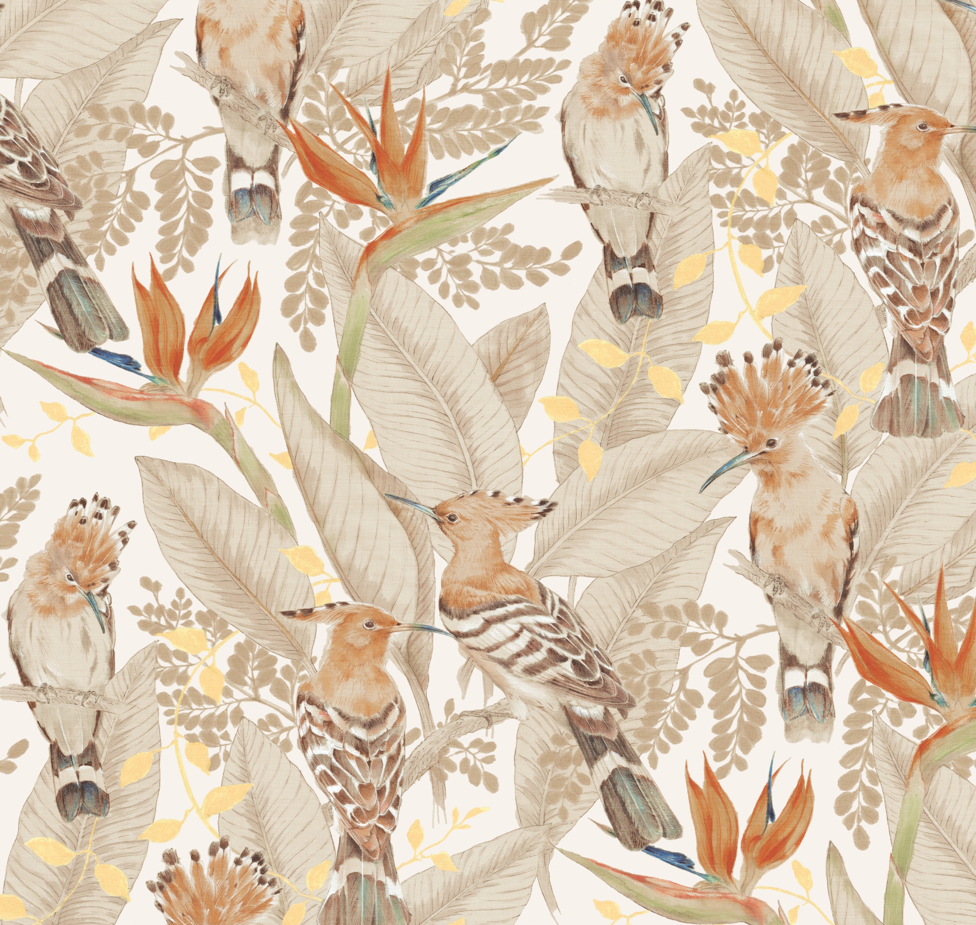 Hoopoe ETD7 001
